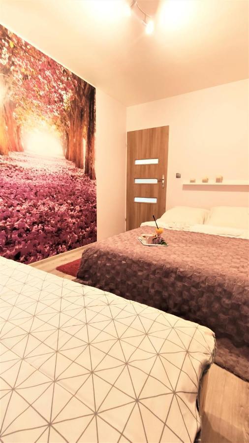 Apartamenty Pilsko コルビエルフ エクステリア 写真