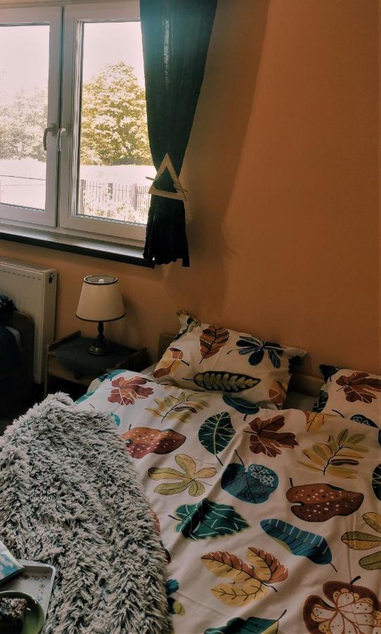 Apartamenty Pilsko コルビエルフ エクステリア 写真