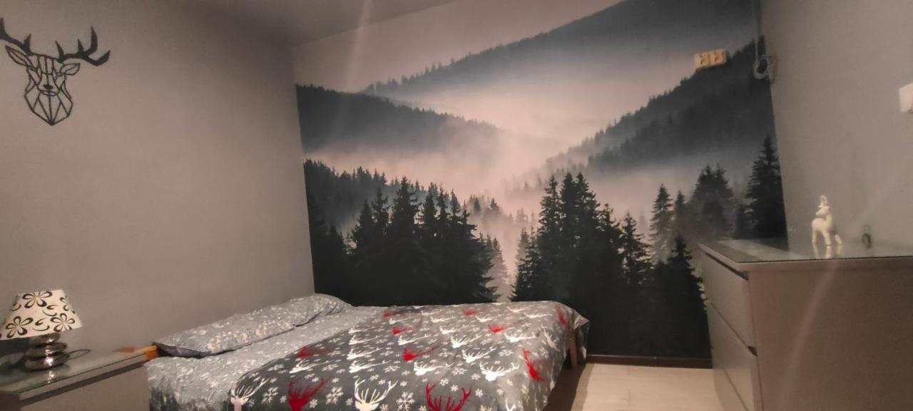 Apartamenty Pilsko コルビエルフ エクステリア 写真